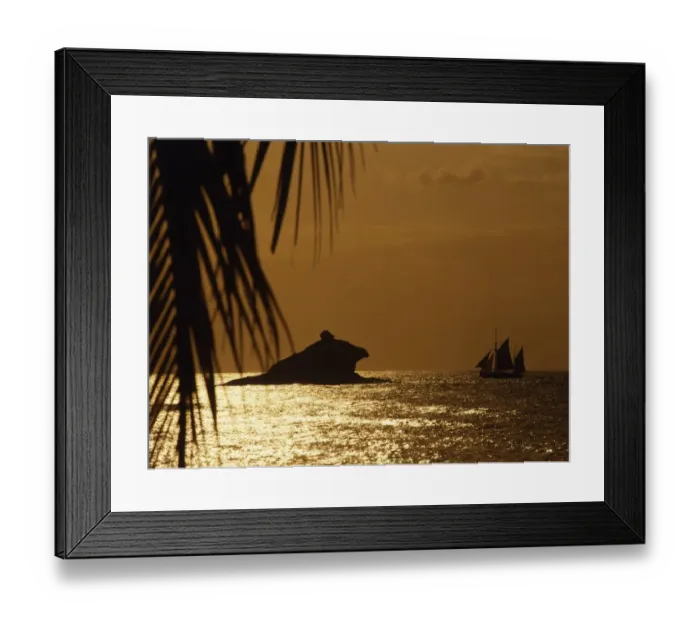 Framed Print : View of the Hawskbill Rock, through palm trees, with boat: Antigua Framed Print : View of the Hawskbill Rock, through palm trees, with boat: Antigua