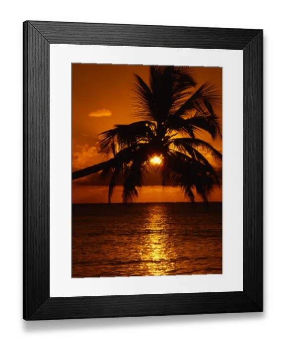 Framed Print : Sunset through palmtrees, over the sea