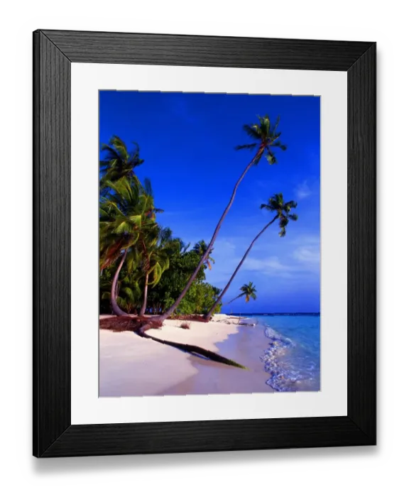 Framed Print : Tropical beauty. Maldives. Little Bandos