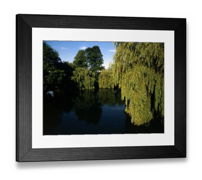 Framed Print : 172 Thames at Sonning. England