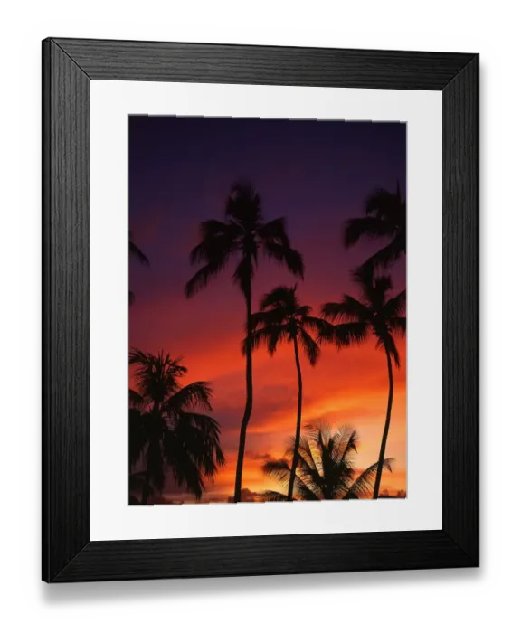Framed Print : Seychelles Sunset with Palm Trees Framed Print : Seychelles Sunset with Palm Trees