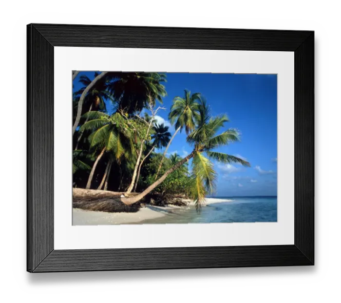 Framed Print : TROPICAL ISLANDS Beach at Little Bandos, Maldives, Indian Ocean Framed Print : TROPICAL ISLANDS Beach at Little Bandos, Maldives, Indian Ocean