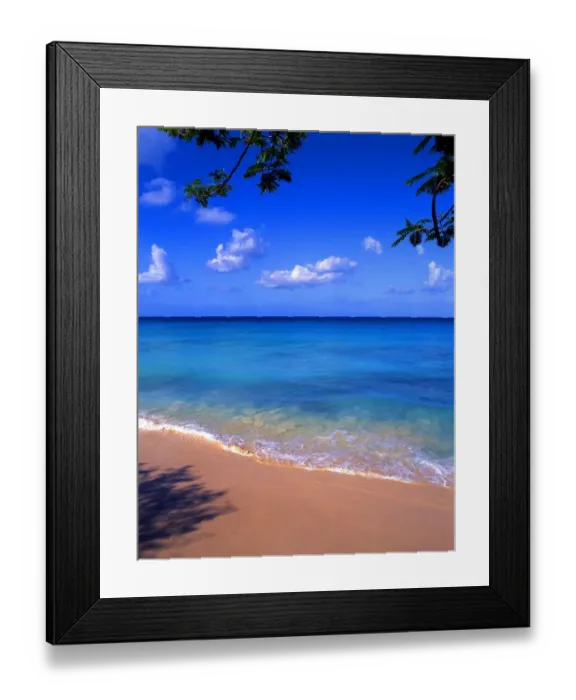 Framed Print : West Indies Barbados Framed Print : West Indies Barbados
