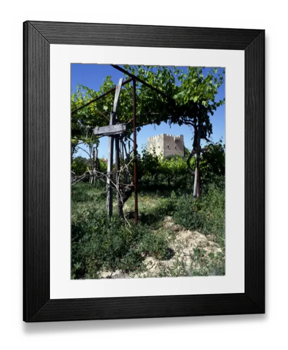 Framed Print : Cyprus. Kolossi. Templars Castle Framed Print : Cyprus. Kolossi. Templars Castle