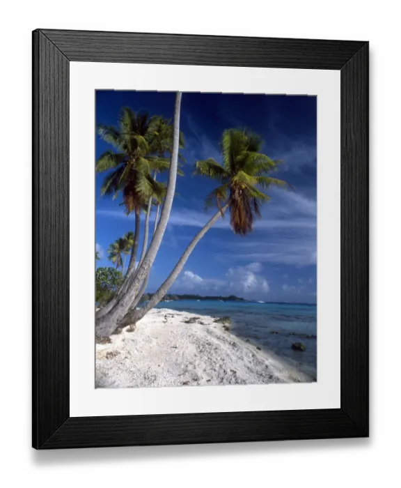 Framed Print : TROPICAL ISLANDS Palm trees and beach - group of small islands at Avearami. French