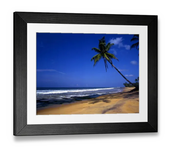 Framed Print : Sri Lanka North of Galle