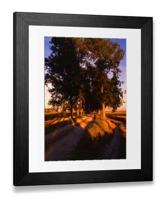 Framed Print : Country Lane near Barbazan, France Framed Print : Country Lane near Barbazan, France