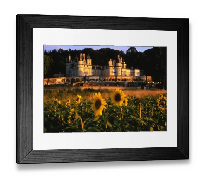 Framed Print : France - Loire Valley - Chateau at Usse Framed Print : France - Loire Valley - Chateau at Usse