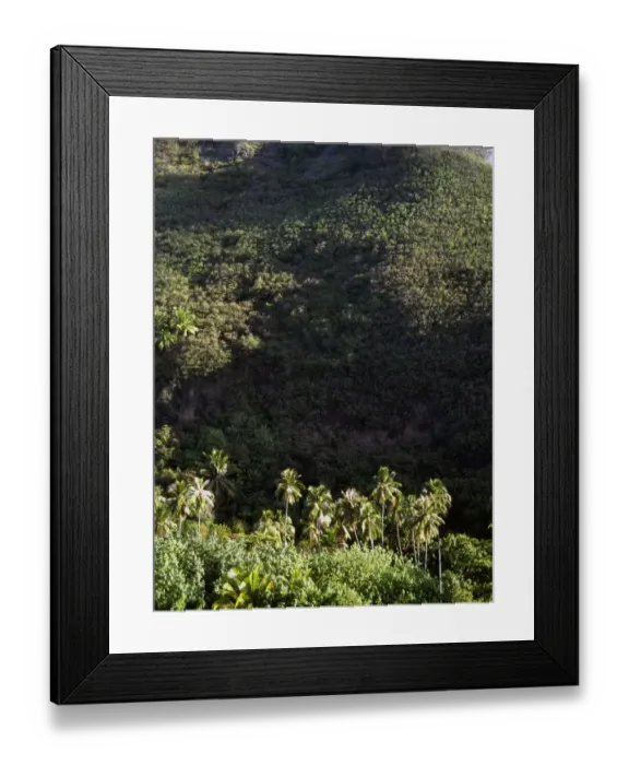 Framed Print : Polynesia Tahiti Moorea
