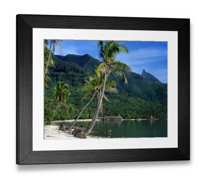 Framed Print : Polynesia Tahiti Moorea Island Framed Print : Polynesia Tahiti Moorea Island