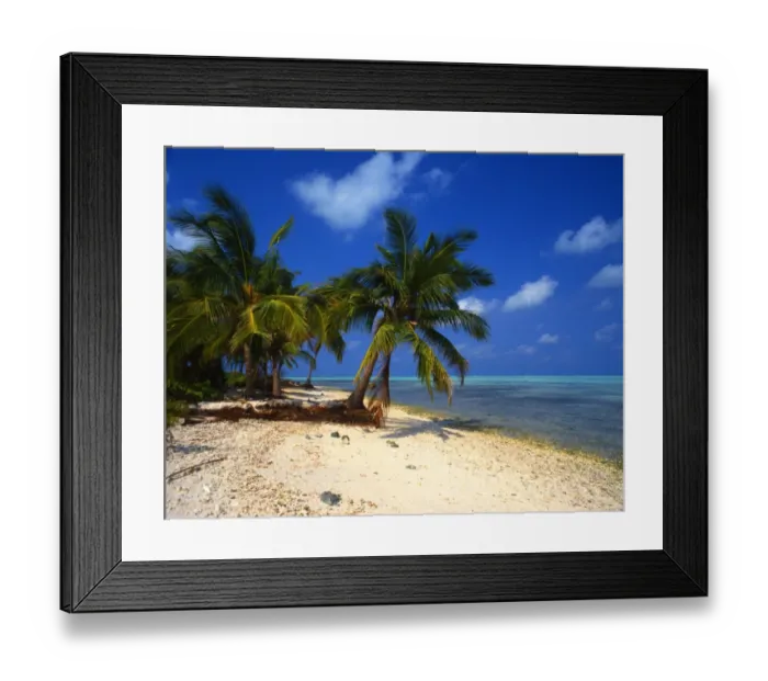 Framed Print : One of the atol islands of the Lakshadweep Islands [Indian Ocean], near Bangaram