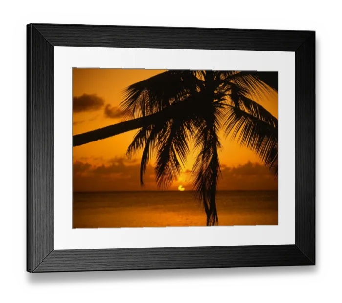 Framed Print : Sunset, through palm tree Framed Print : Sunset, through palm tree