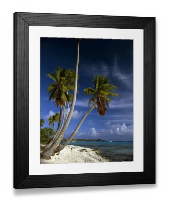 Framed Print : Polynesia Rangiroa Framed Print : Polynesia Rangiroa