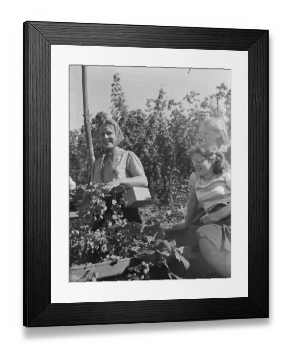 Framed Print : Women hop pickers in Beltring, Kent. Each worker has a gas mask over their shoulder