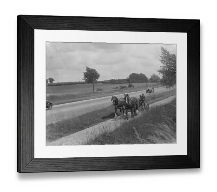 Framed Print : Grass cutting in Chelsfield, Kent, using a horse drawn mower. 1936 Framed Print : Grass cutting in Chelsfield, Kent, using a horse drawn mower. 1936
