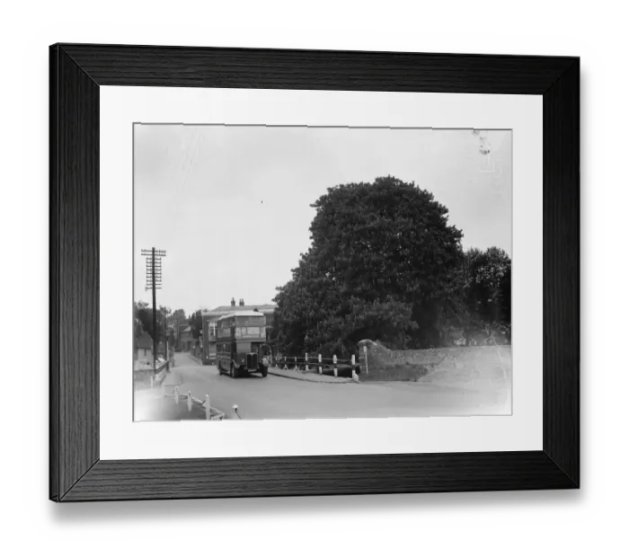 Framed Print : Chestnut trees on the roadside in Farningham, Kent. 1935