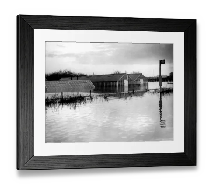 Framed Print : Greenhouses were flooded out in the great floods along the path of the Thames in Framed Print : Greenhouses were flooded out in the great floods along the path of the Thames in