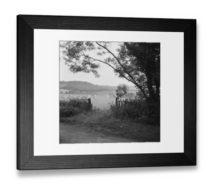 Framed Print : A harvesting scene at Otford, Kent 1936 Framed Print : A harvesting scene at Otford, Kent 1936