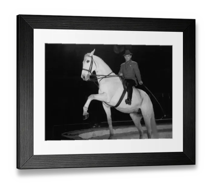 Framed Print : Trainer with his horse rehearsing before a show at the Olympia Circus, London, England Framed Print : Trainer with his horse rehearsing before a show at the Olympia Circus, London, England