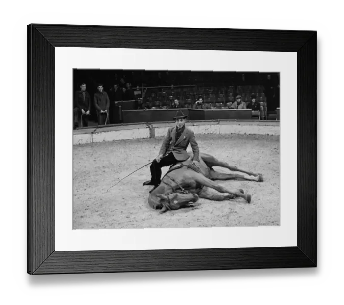 Framed Print : Trainer with his horse rehearsing before a show at the Olympia Circus, London, England Framed Print : Trainer with his horse rehearsing before a show at the Olympia Circus, London, England