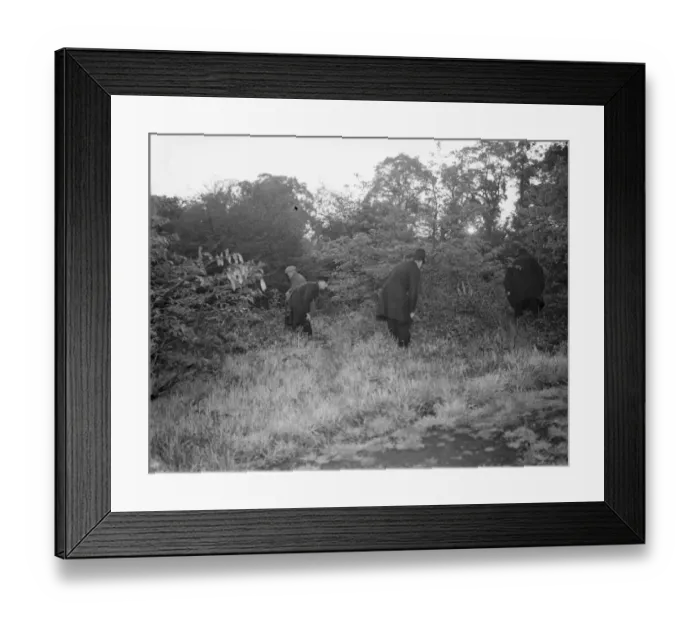 Framed Print : Police search the undergrowth for the lost child in Northcray, Kent Framed Print : Police search the undergrowth for the lost child in Northcray, Kent