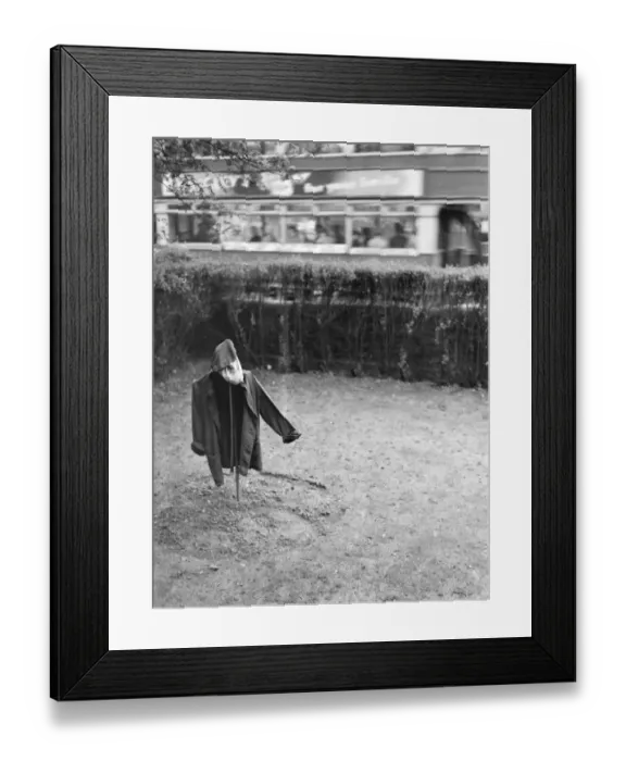 Framed Print : A scarecrow in a garden. 1938 Framed Print : A scarecrow in a garden. 1938