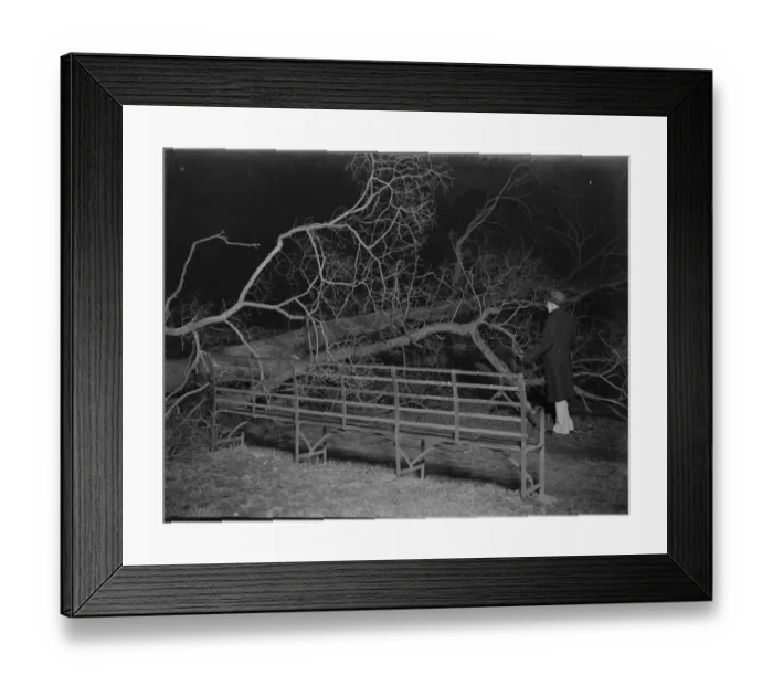 Framed Print : Storm damage in Sidcup, Kent. 1939