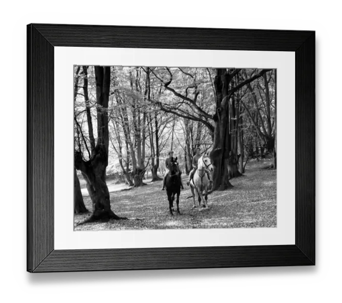 Framed Print : Autumn in Kent two riders pause to admire the huge carpet of leaves lying on Framed Print : Autumn in Kent two riders pause to admire the huge carpet of leaves lying on