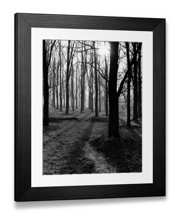 Framed Print : Otford in Kent. Cricket bat willows trees
