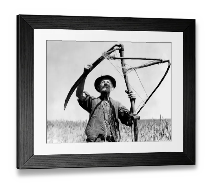 Framed Print : Mono Print