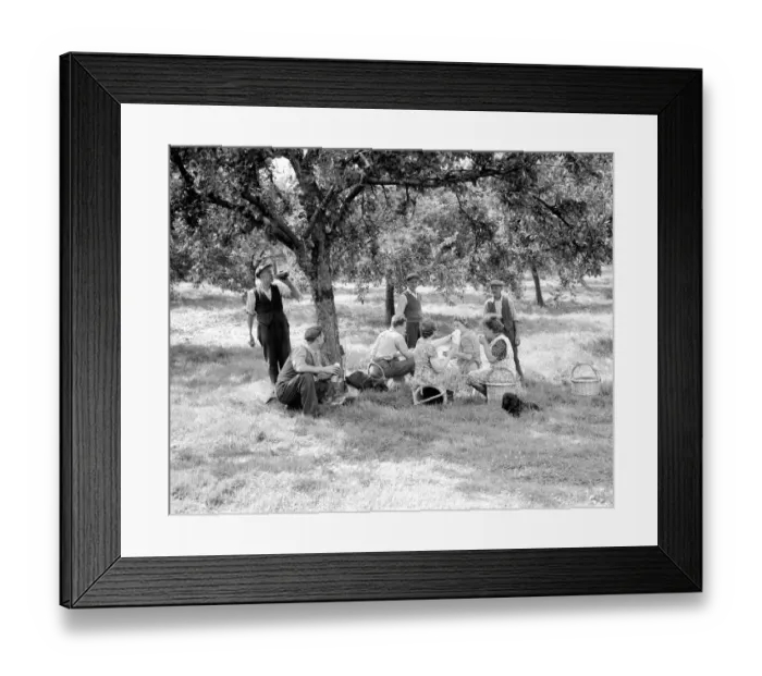 Framed Print : Apple pickers enjoying a tea break in the orchard at Scadbury Farm near Sidcup. August Framed Print : Apple pickers enjoying a tea break in the orchard at Scadbury Farm near Sidcup. August