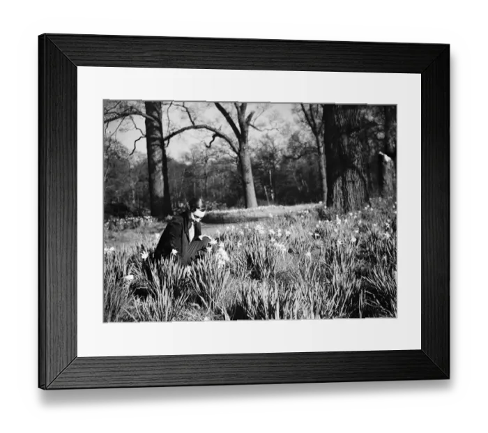 Framed Print : Daffodil time. 1935