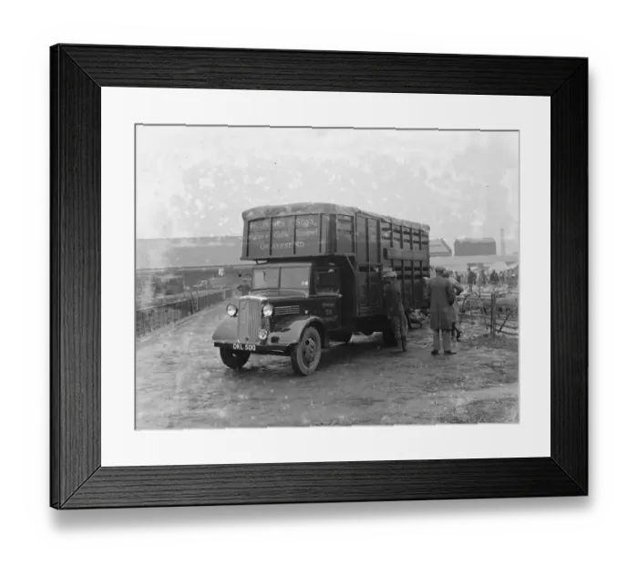 Framed Print : Sheep are being loaded up onto a Bedford lorry belonging to W James & Sons Horse