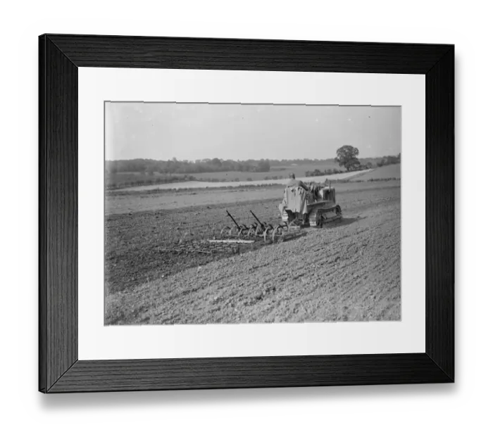 Framed Print : A farmer and his tank track tractor cultivates a field. 1935 Framed Print : A farmer and his tank track tractor cultivates a field. 1935
