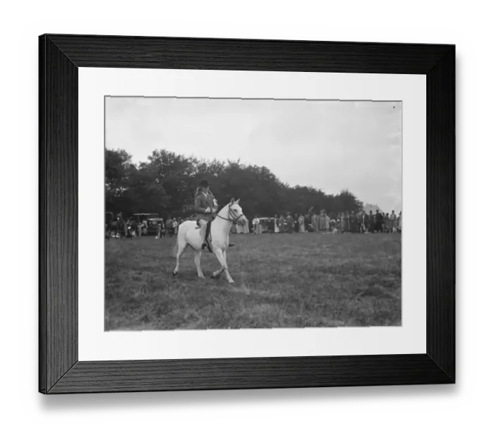 Framed Print : A horse show in Westerham, Kent. Young riding a pony. 1936