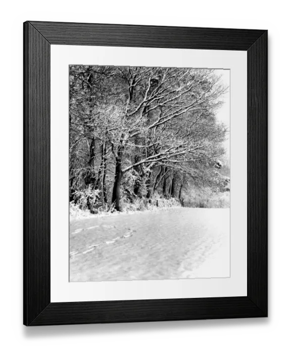 Framed Print : A snowy scene of a field and woods, Downe, Kent, England. 3 February 1962 Framed Print : A snowy scene of a field and woods, Downe, Kent, England. 3 February 1962