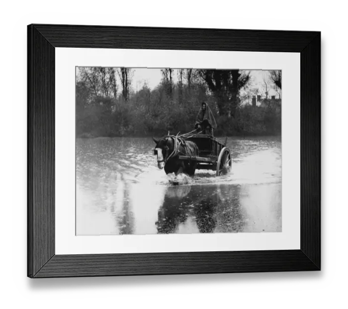 Framed Print : A farm labourer in Orpington, 1935, driving his cart into the water to swell the wood Framed Print : A farm labourer in Orpington, 1935, driving his cart into the water to swell the wood