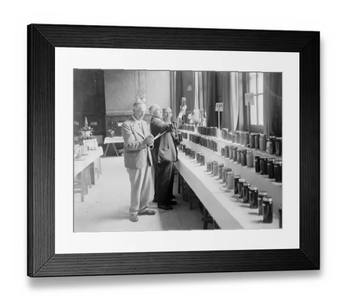 Framed Print : Crayford honey festival. 1935