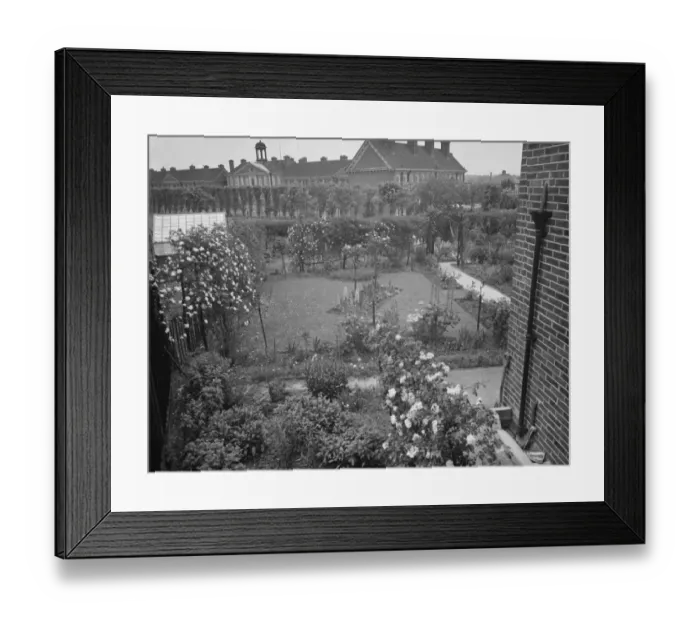 Framed Print : Mr J H Smiths garden in Mottigham, Kent. 1938