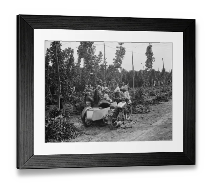 Framed Print : Hop pickers in East Peckham. 1 September 1938 Framed Print : Hop pickers in East Peckham. 1 September 1938