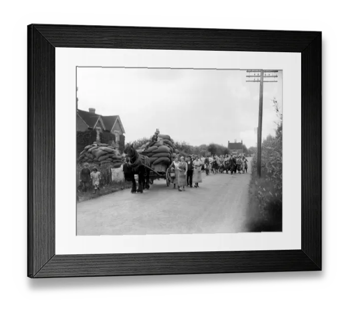 Framed Print : Londoners came to the country for the hop picking. 1935 Framed Print : Londoners came to the country for the hop picking. 1935