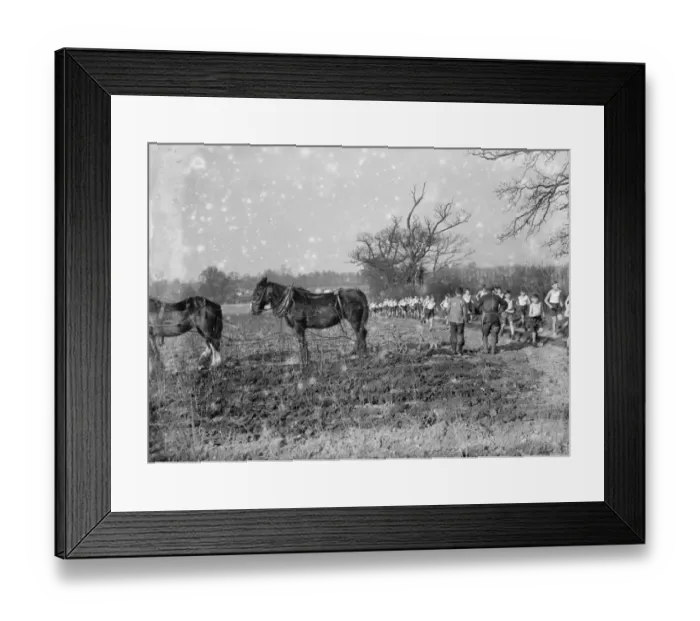 Framed Print : A farmer and his horse team ploughing a field, take a break to watch cross country