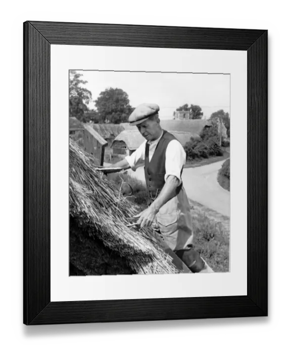 Framed Print : Thatching in a Dorest Village. Mr A Guppy the thatcher repairing roof with thatch 1958