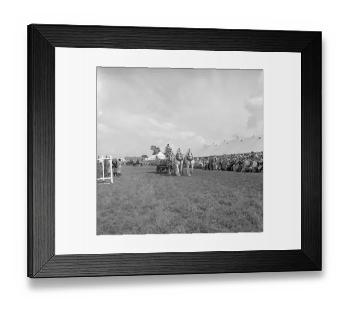 Framed Print : The Edenbridge and Oxted Show - 2 August 1960 The heavy turnout of Messrs. Fremlins Ltd Framed Print : The Edenbridge and Oxted Show - 2 August 1960 The heavy turnout of Messrs. Fremlins Ltd