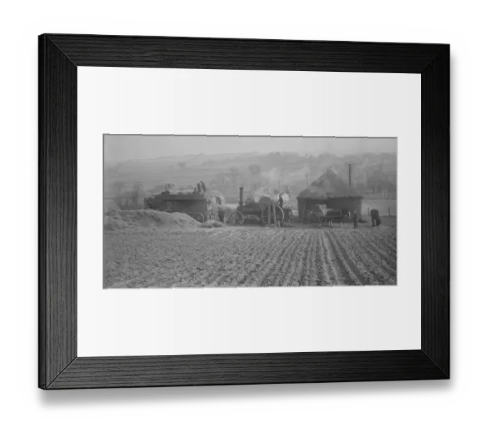 Framed Print : Farm workers in Farningham, Kent, at work using a steam engine and belt - driven Framed Print : Farm workers in Farningham, Kent, at work using a steam engine and belt - driven