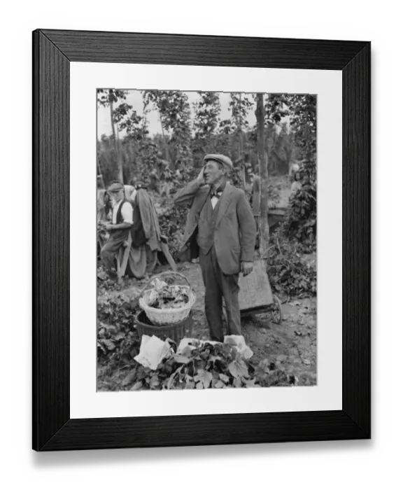 Framed Print : Hop pickers in East Peckham. 1 September 1938 Framed Print : Hop pickers in East Peckham. 1 September 1938