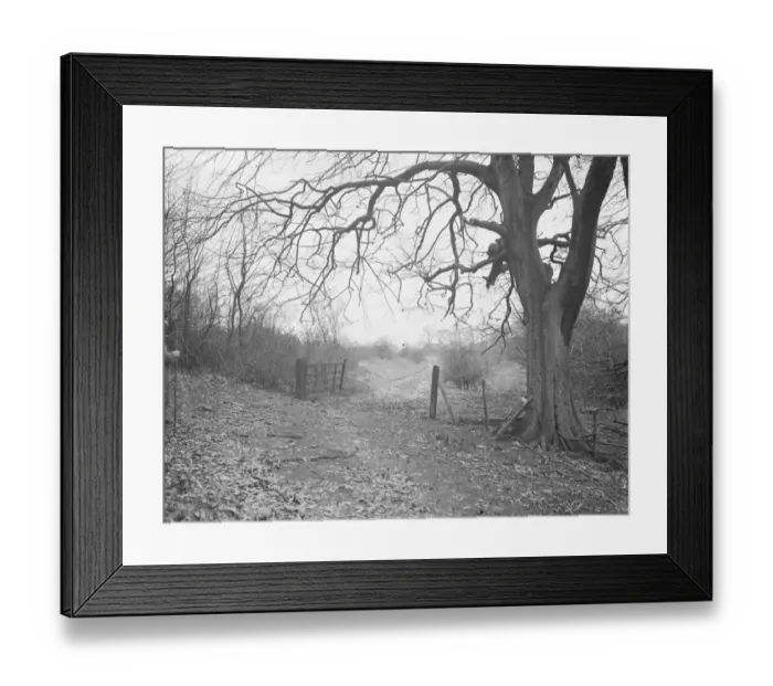 Framed Print : A rural scene on Preston Hill Farm Estate, Kent. 1938 Framed Print : A rural scene on Preston Hill Farm Estate, Kent. 1938