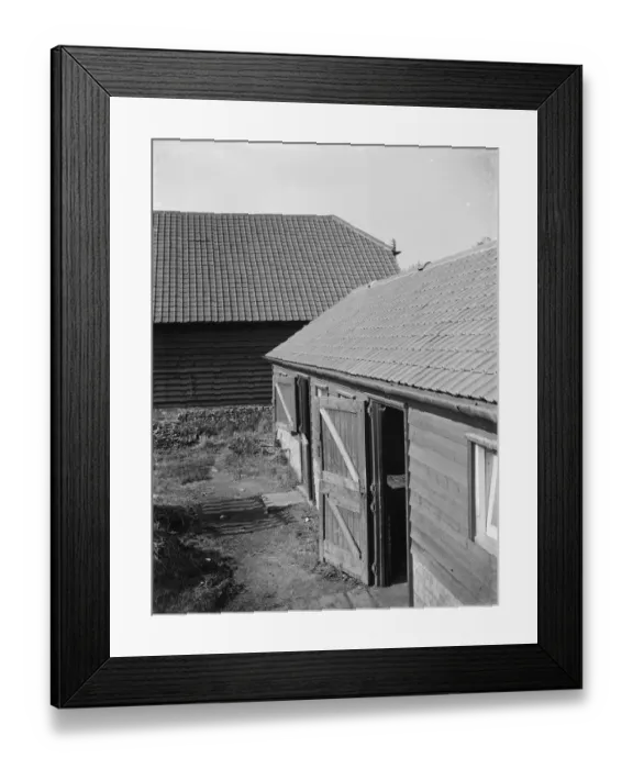 Framed Print : Newly tiled roofs on barns. 1935