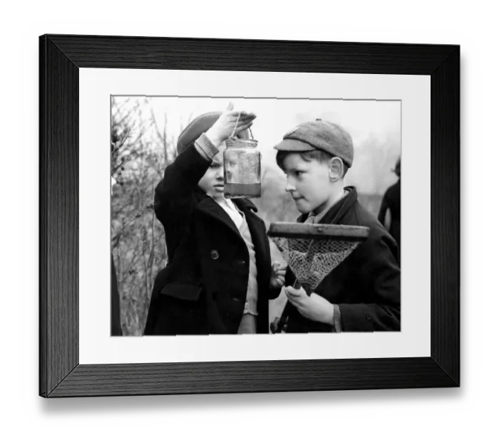 Framed Print : Nature Walk Boys fishing with nets and jam jars Framed Print : Nature Walk Boys fishing with nets and jam jars