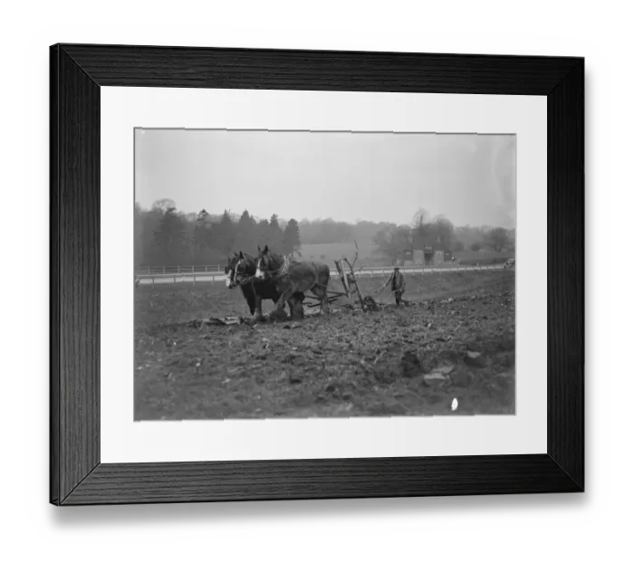 Framed Print : Ploughing near bypass. 1935 Framed Print : Ploughing near bypass. 1935